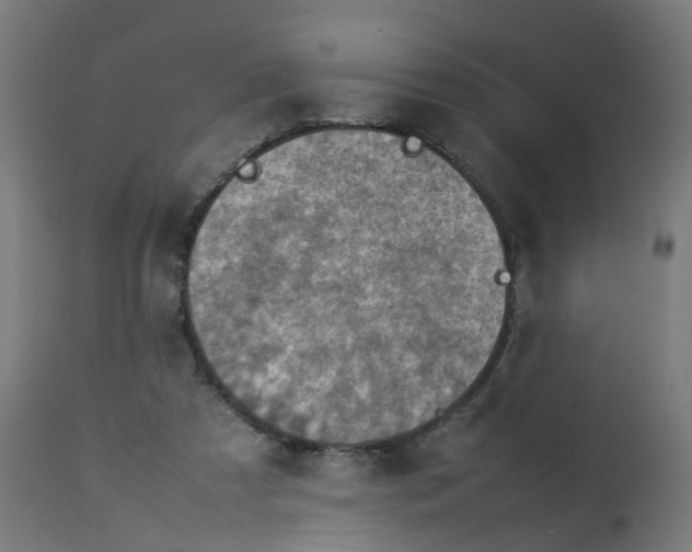 X0000112770305200909171319