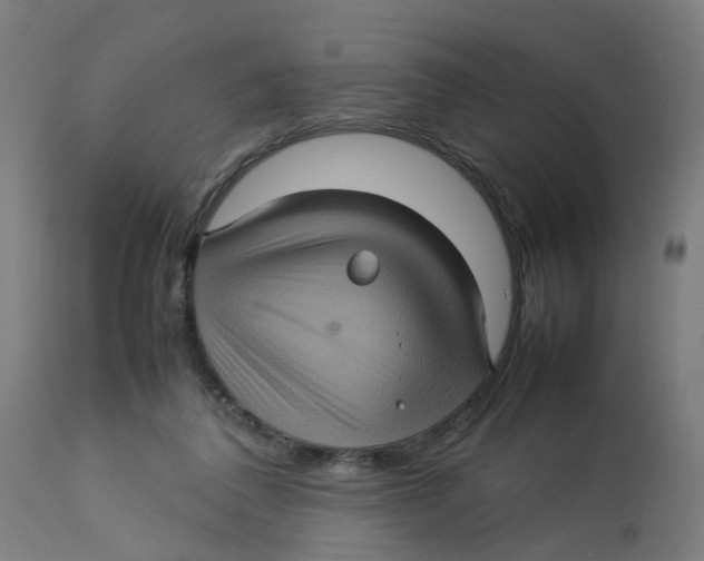 X0000112770308200909171319