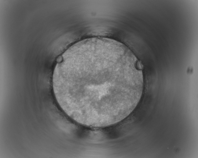 X0000112770309200909171319