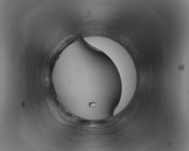 X0000112770312200909171319