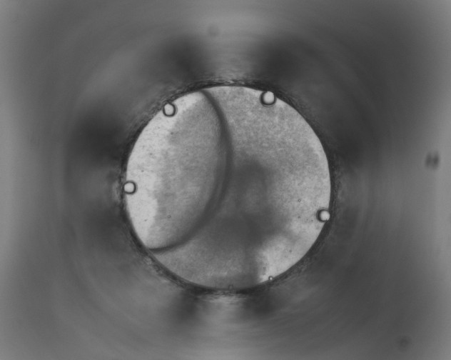 X0000112770313200909171319