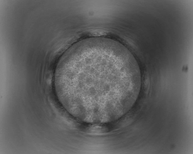 X0000112770315200909171319