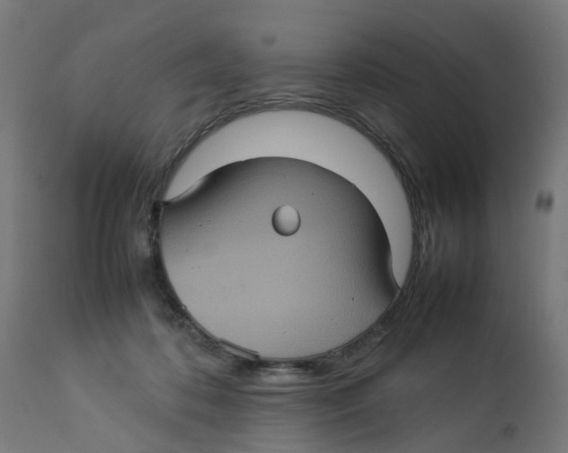 X0000112770316200909171319