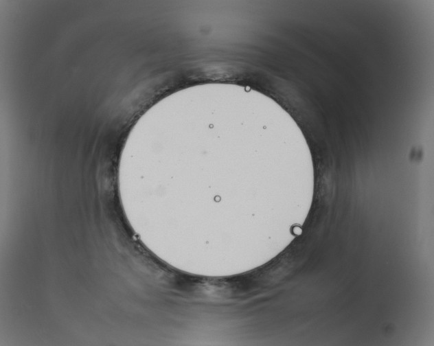 X0000112770317200909171319