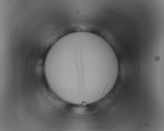 X0000112770318200909171319