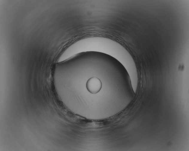 X0000112770320200909171319