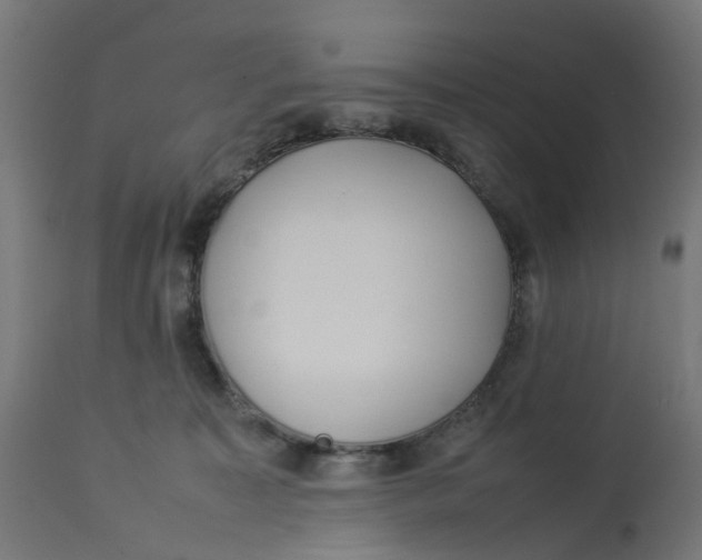 X0000112770323200909171319