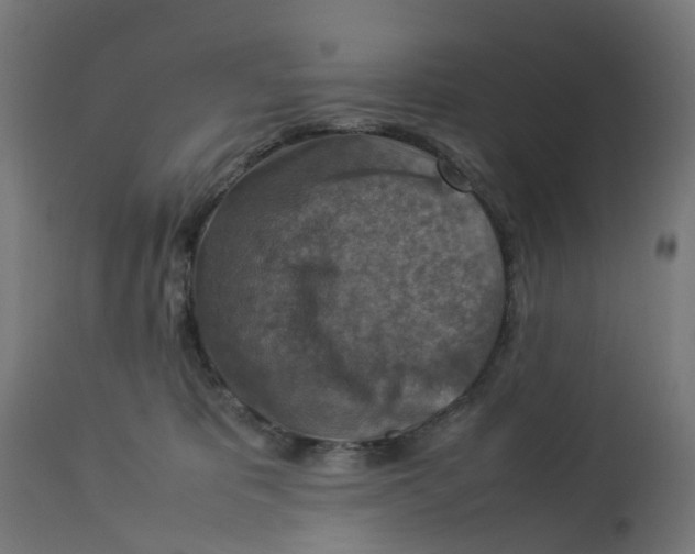 X0000112770325200909171319