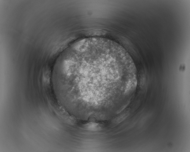 X0000112770326200909171319