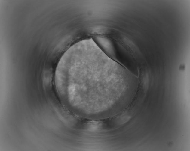 X0000112770328200909171319