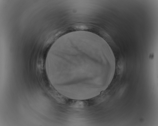 X0000112770330200909171319