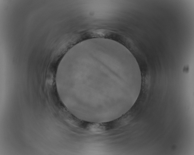 X0000112770331200909171319