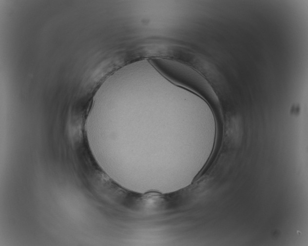 X0000112770333200909171319