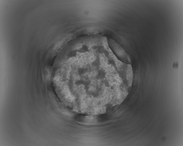 X0000112770335200909171319