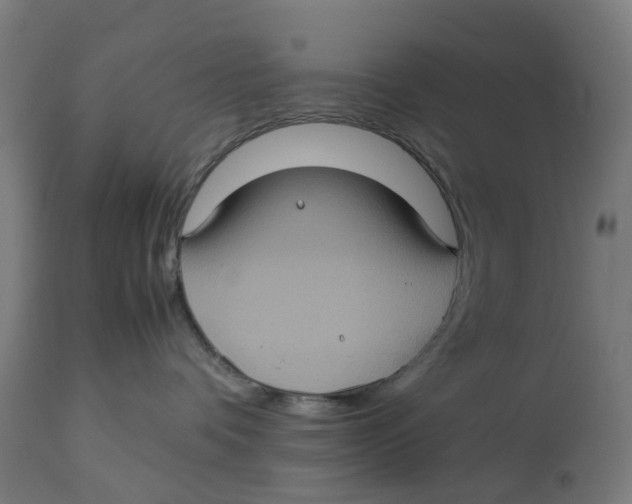 X0000112770336200909171319