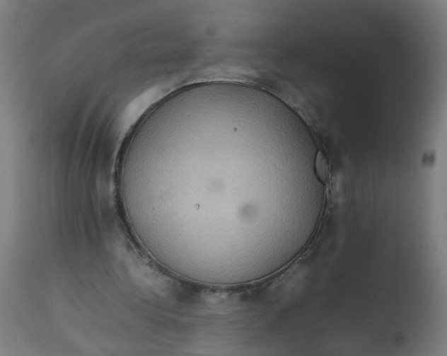 X0000112770340200909171318