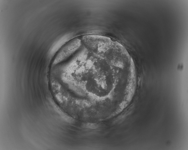 X0000112770341200909171318