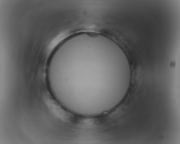 X0000112770344200909171318