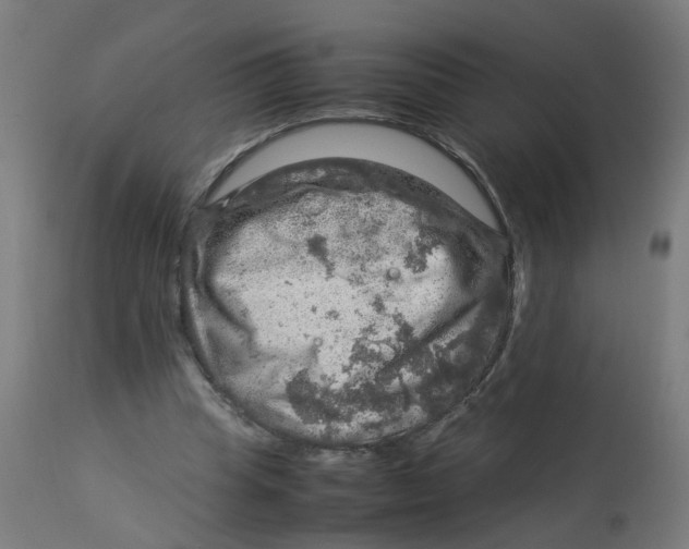 X0000112770345200909171318