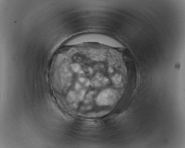 X0000112770347200909171318