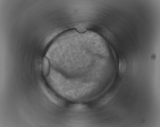 X0000112770348200909171318