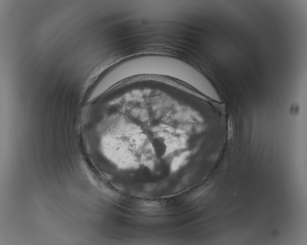 X0000112770349200909171318