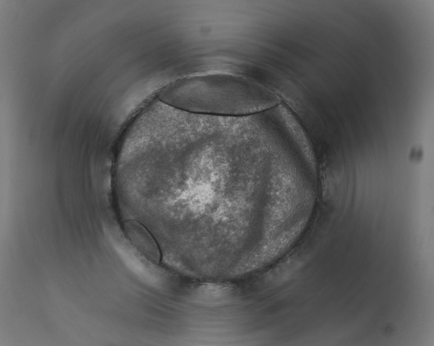 X0000112770350200909171318