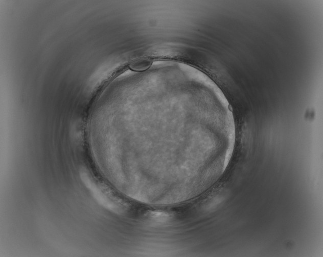 X0000112770352200909171318