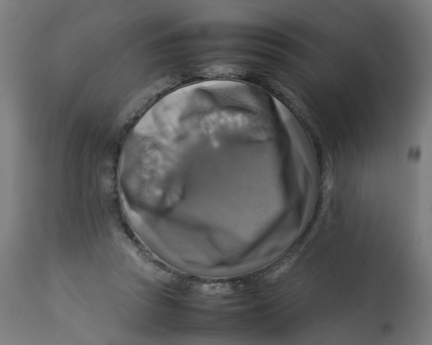 X0000112770353200909171318