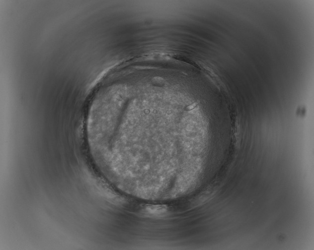 X0000112770355200909171318