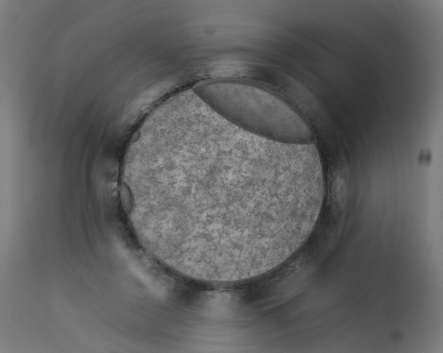 X0000112770356200909171318