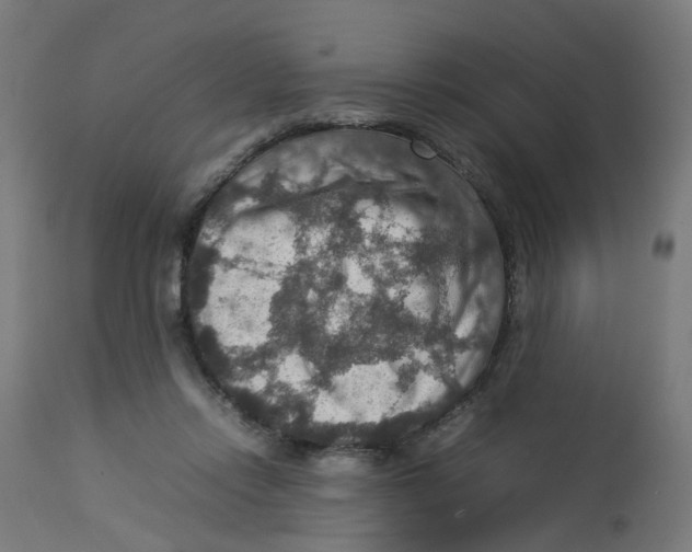 X0000112770358200909171318