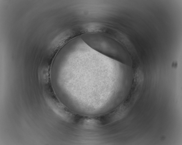 X0000112770360200909171318