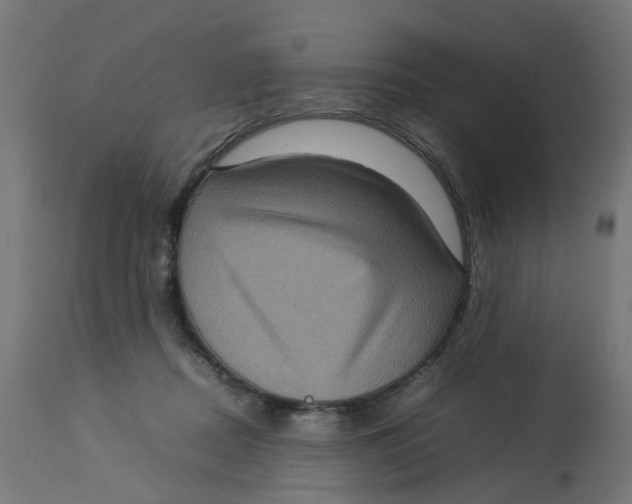 X0000112770362200909171318