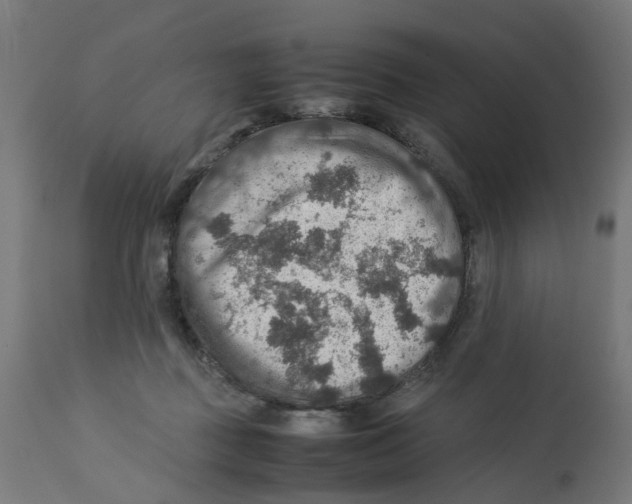 X0000112770363200909171318