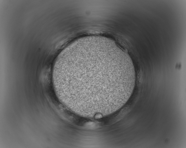 X0000112770364200909171318