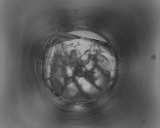 X0000112770365200909171318