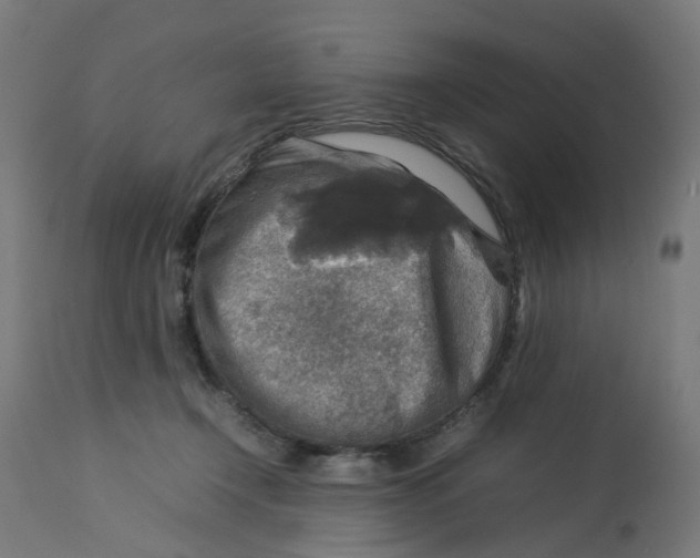 X0000112770366200909171318