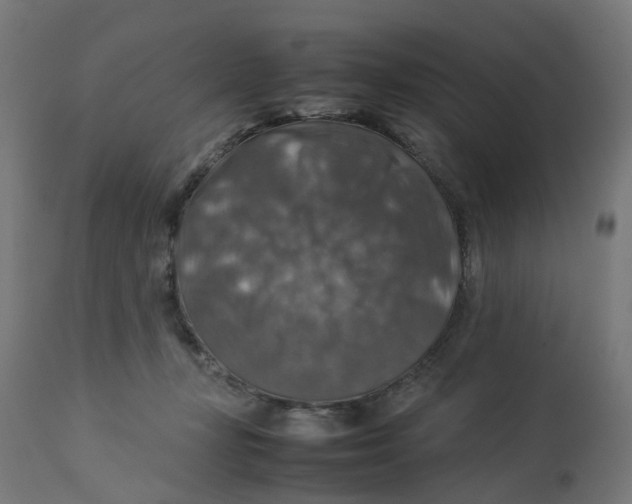 X0000112770367200909171318