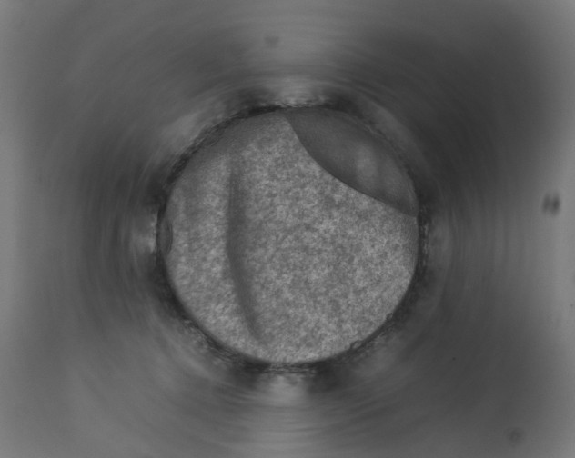 X0000112770368200909171318