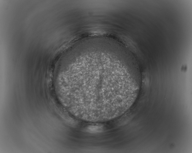 X0000112770369200909171318