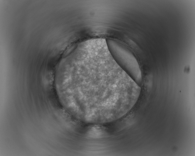 X0000112770372200909171319