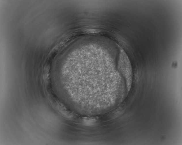 X0000112770373200909171319