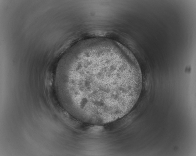 X0000112770374200909171319