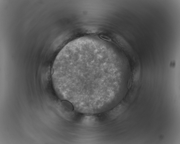 X0000112770376200909171319