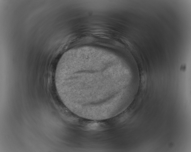 X0000112770379200909171319