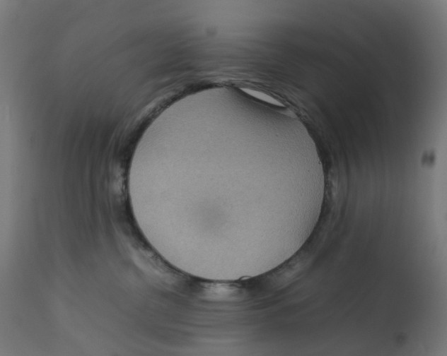 X0000112770380200909171319