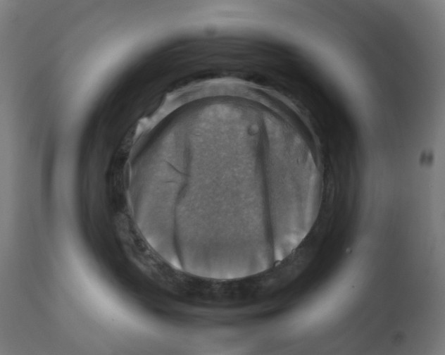 X0000112770383200909171319