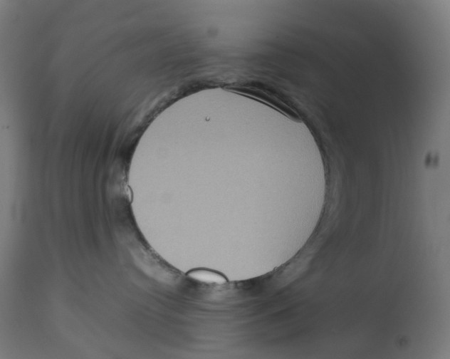 X0000112770384200909171319