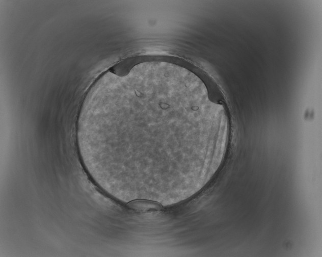 X0000112770385200909171318